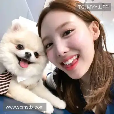 石琛纲